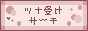 �c�i�󂯃T�[�`